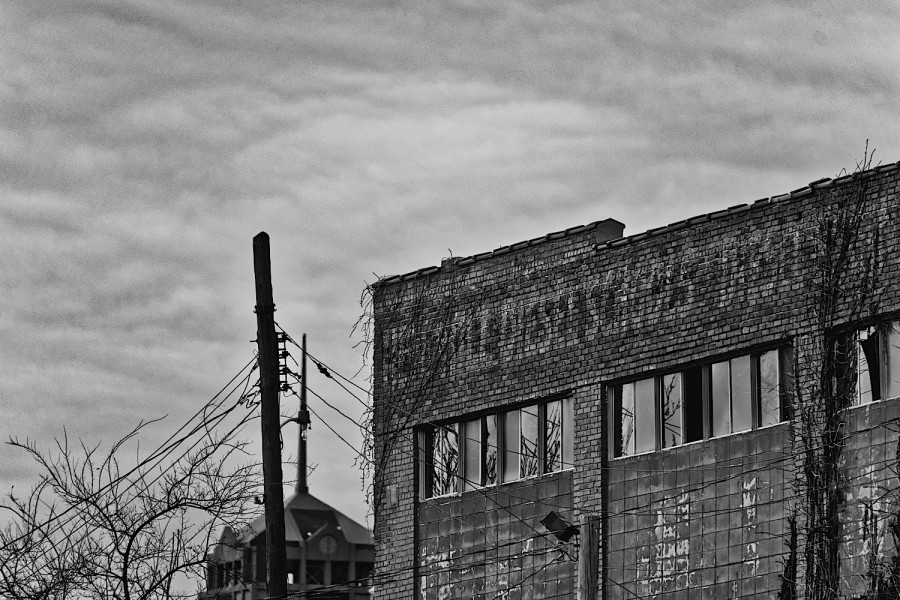DSC_0209_365