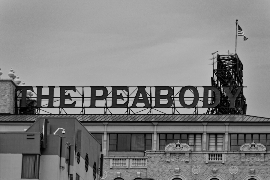 DSC_4851_365