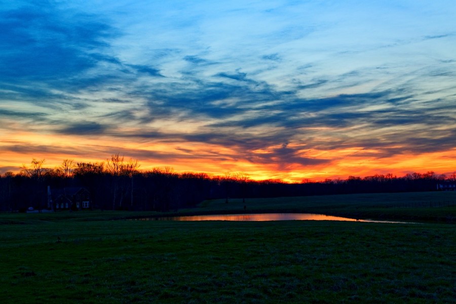 DSC_0489_365