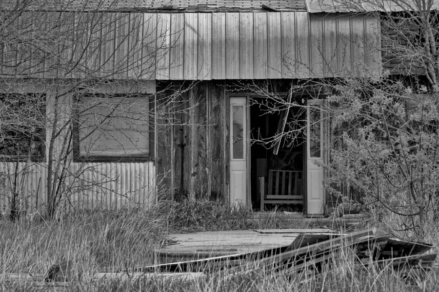 DSC_2674_365_050415