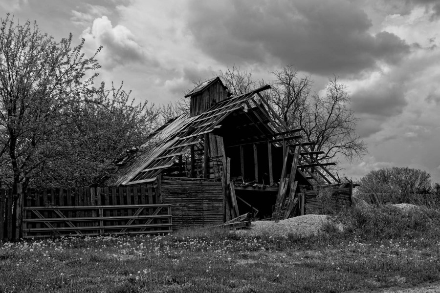 DSC_2898_365_050815_2
