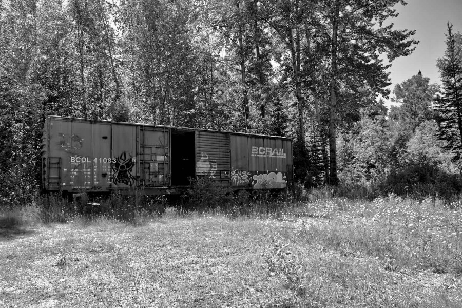 DSC_7041_365_070315