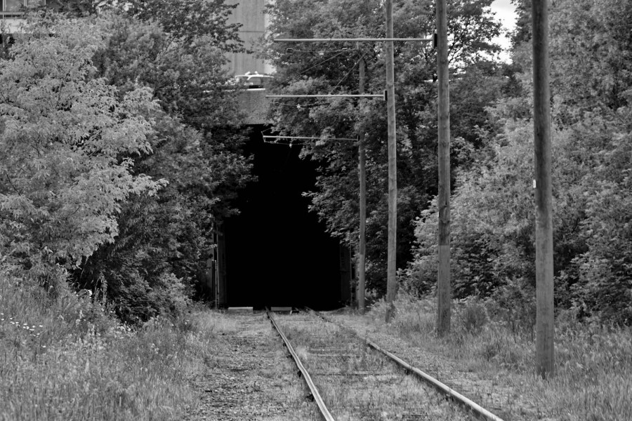 DSC_7541_365_071615