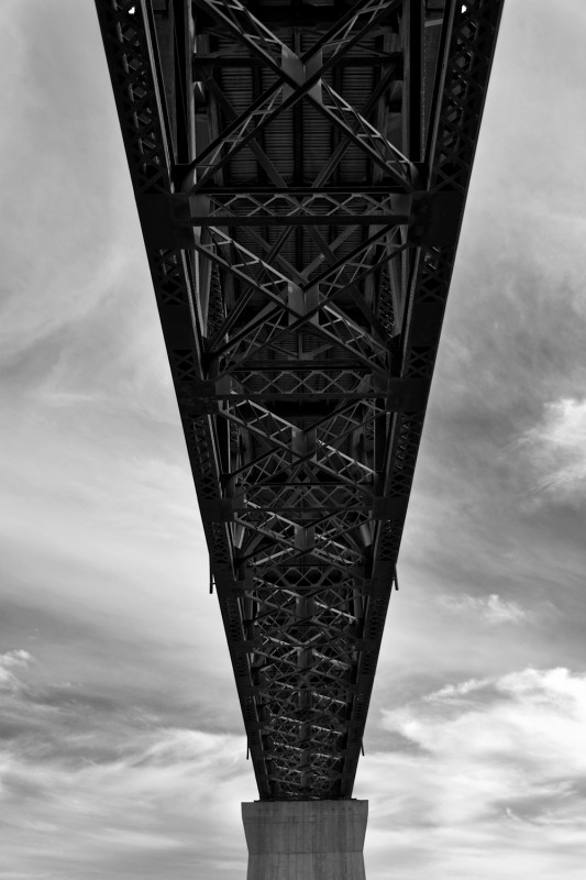 DSC_0019_365_080215