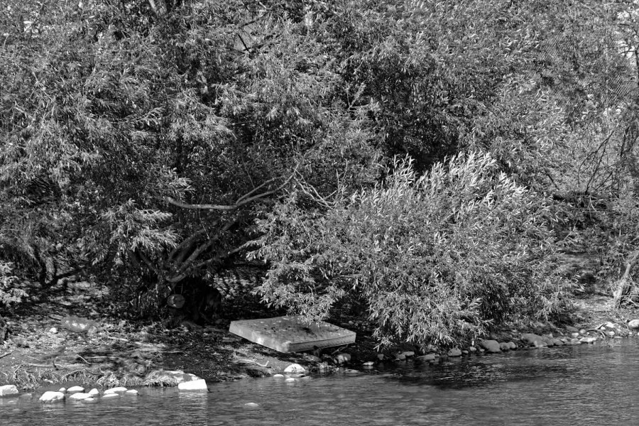 DSC_0742_365_081315