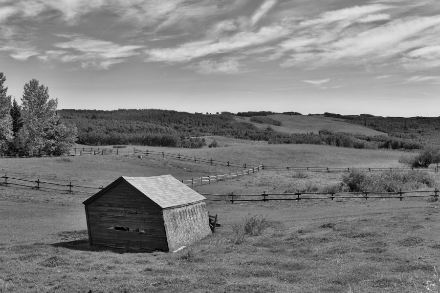 DSC_1487_365_081915