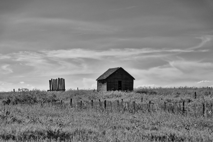 DSC_1950_365_082315