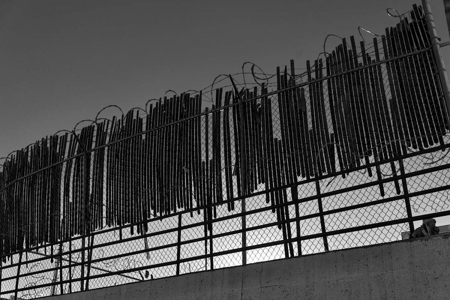 DSC02272_365_110515