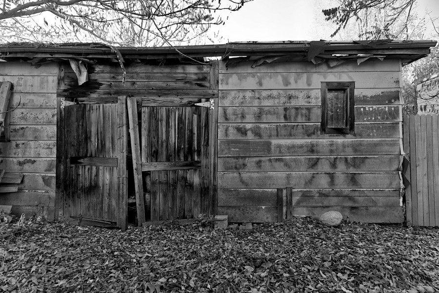 DSC02503_365_111015
