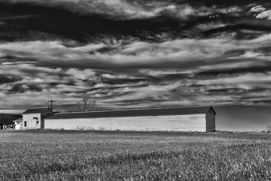 DSC03034_365_HDR_111515_edit_edit
