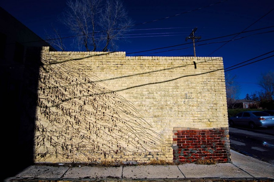DSC03167_365_HDR_111815