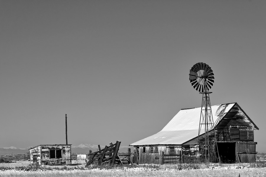 DSC_7798_365_112115_TonNoise