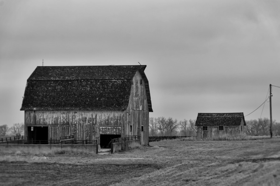 710_1579_365-1_122215