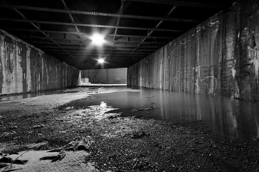 DSC09563_365_122915_DxOVP