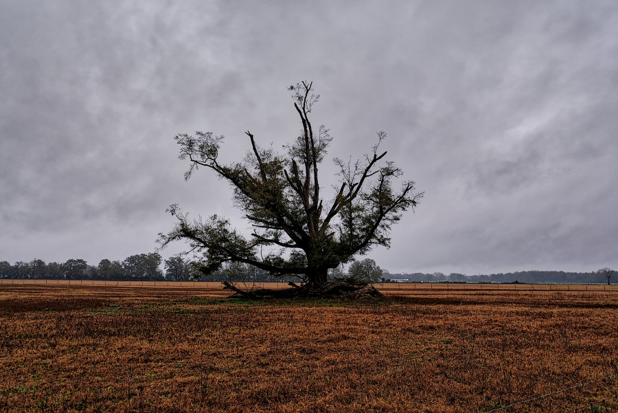 710_4304_365_HDR_020616_NL