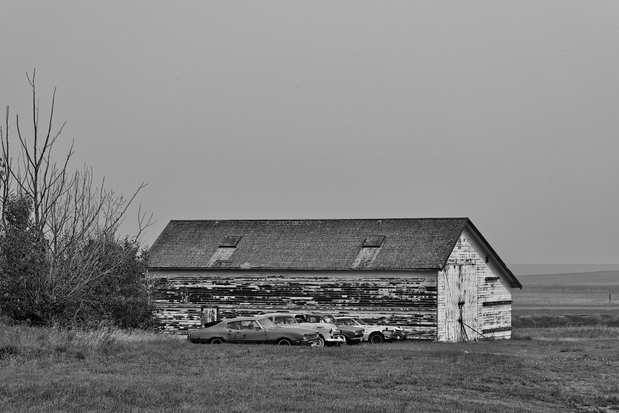 DSC_2153_365