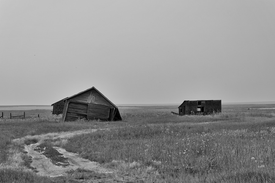 DSC_2441_365